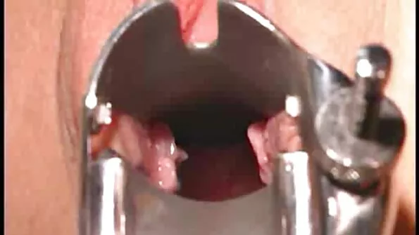 Seksikas besplatan seks video armas tüdruk lakub kukke.