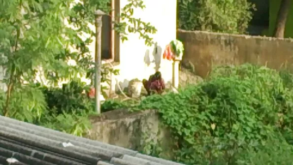Cavalier aitas hullul emasel Alexa Noval seks massge iha rahuldada.